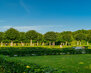EDM park4